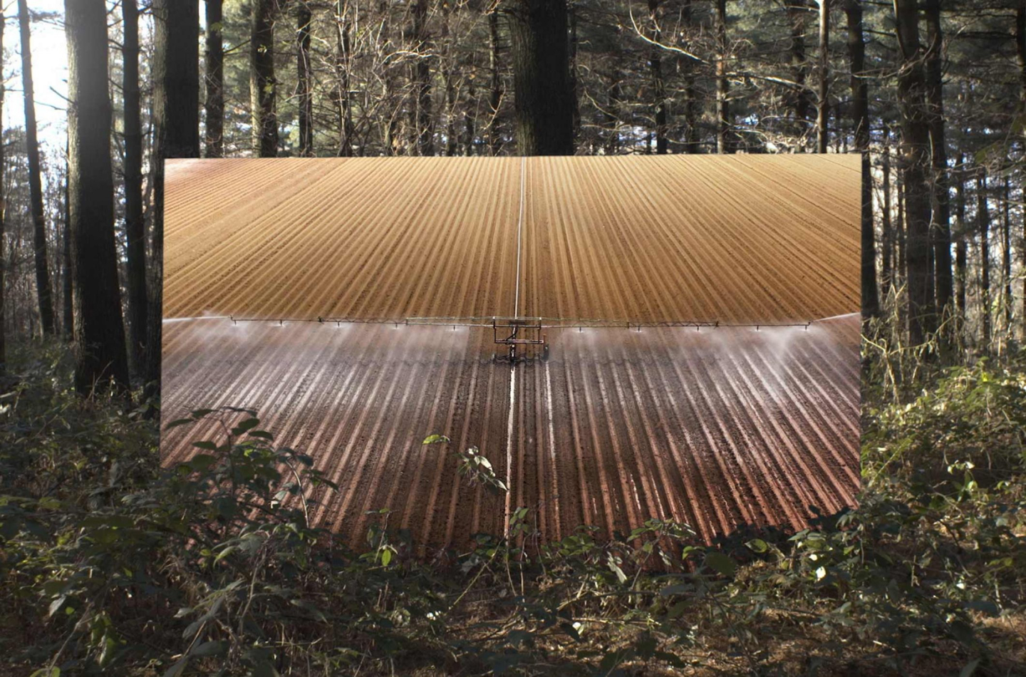 Cambio/Design in Flux